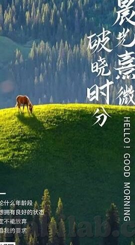 日韩综合在线超乳人妻一区-日韩综合在线超乳人妻一区，文化交融与网络现象的探讨