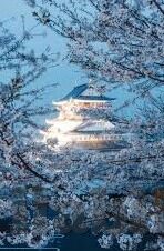 糖心app软件下载安卓-糖心新体验，安卓用户指南下的美好邂逅