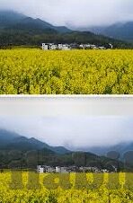 糖心app软件下载苹果版-糖心app软件下载，苹果用户的专属温馨体验